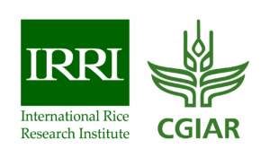 International Rice Research Institute (IRRI)