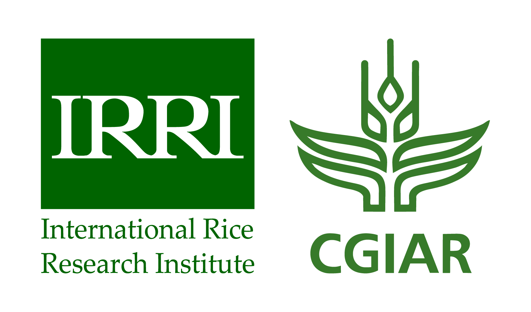 International Rice Research Institute (IRRI)